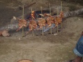 les poulet qui cuisse pour le repas du campement